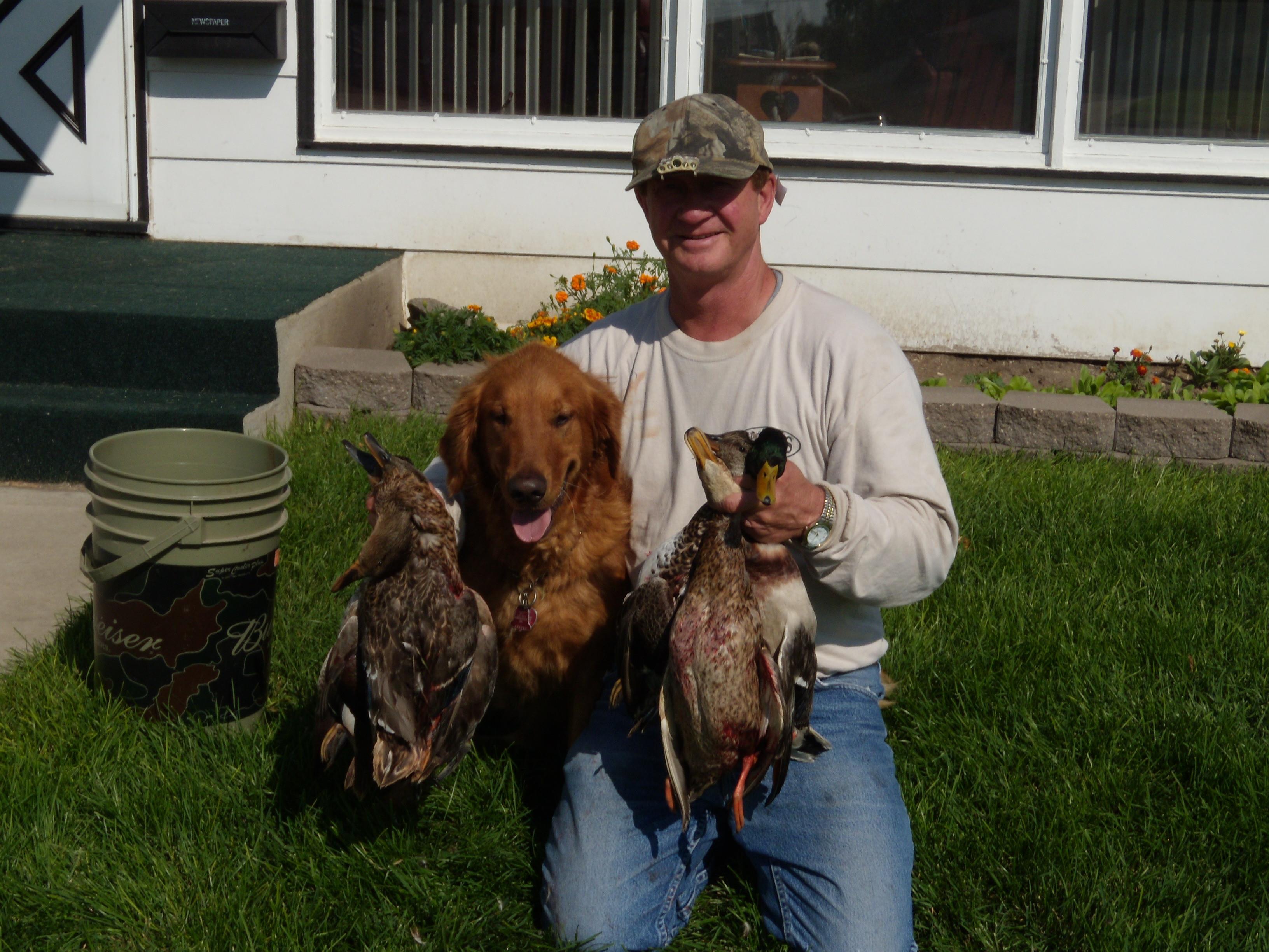 Guided South Dakota Pheasant Hunting D S Campground Lodge Storage Guided South Dakota Pheasant Hunting D S Campground Lodge Storage
